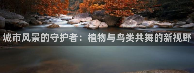 新宝gg游戏平台