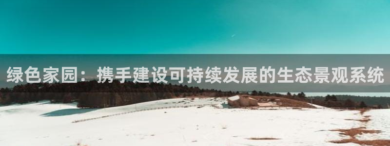 创造奇迹 新宝gg