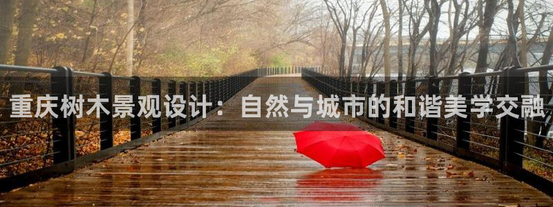 新宝gg开户