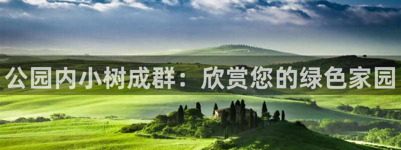 新宝gg娱乐上皇巢网：公园内小树成群：欣赏您的绿色家园
