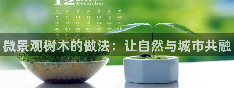 新宝gg — 创造!