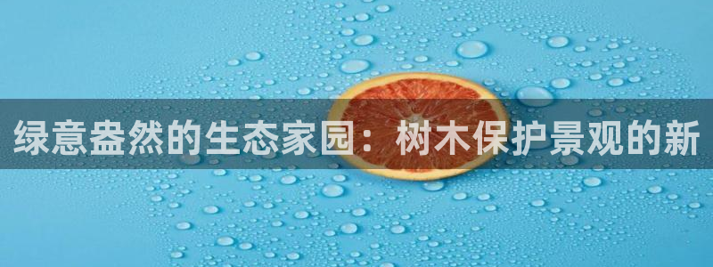 新宝gg娱乐盟主