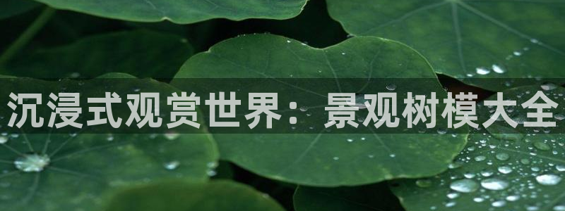 新宝gg游戏平台