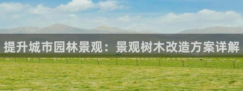 新宝gg平台登录