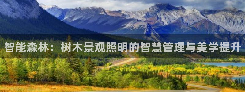 新宝gg是在境外吗