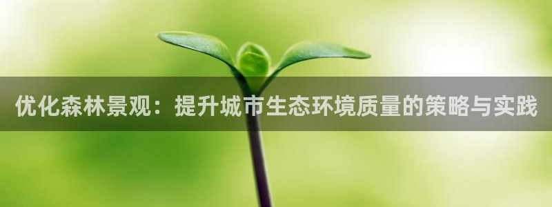 新宝亚洲GG:优化森林景观:提升城市生态环境质量的策略与实践