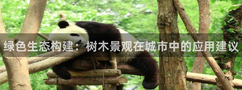 怎么下载新宝gg