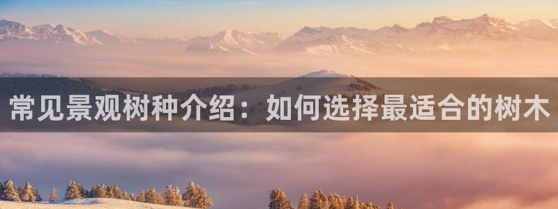 新宝GG苹果版:常见景观树种介绍:如何选择最适合的树木