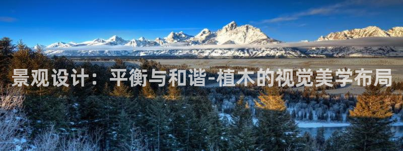 新宝gg如何做到总代理