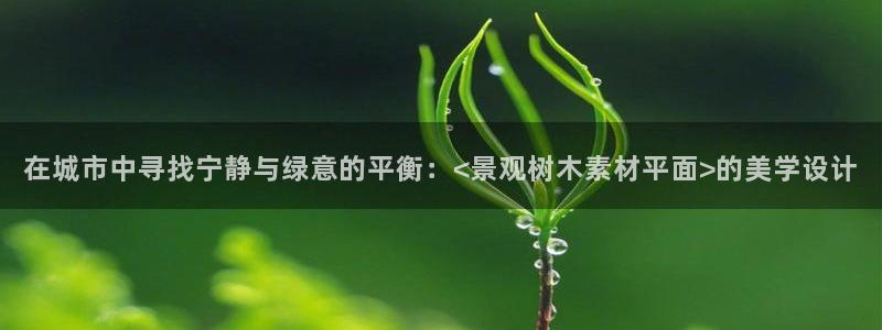 新宝gg用哪个浏览器