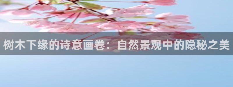 新宝gg手机助手