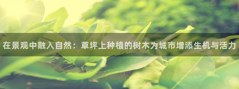 新宝gg奇迹:在景观中融入自然:草坪上种植的树木为城市增添生机与活力