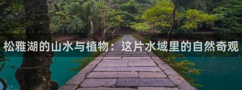 新宝gg软件下载