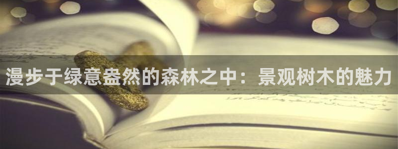 新宝gg注册登录：漫步于绿意盎然的森林之中：景观树木的魅力