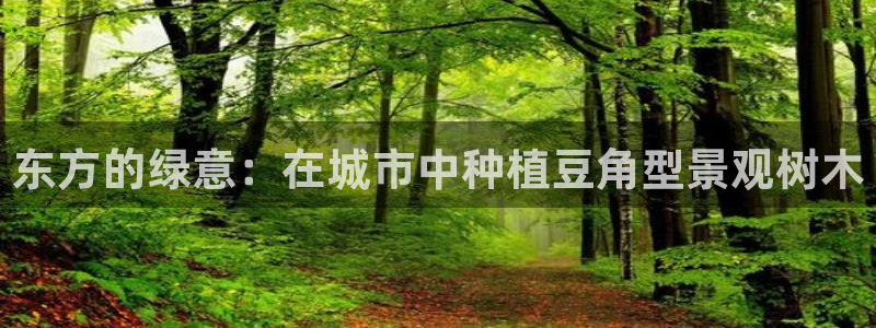 新宝gg平台登录