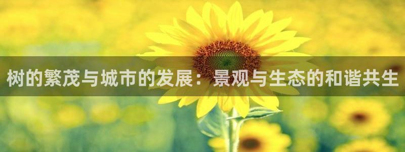 新宝gg账号