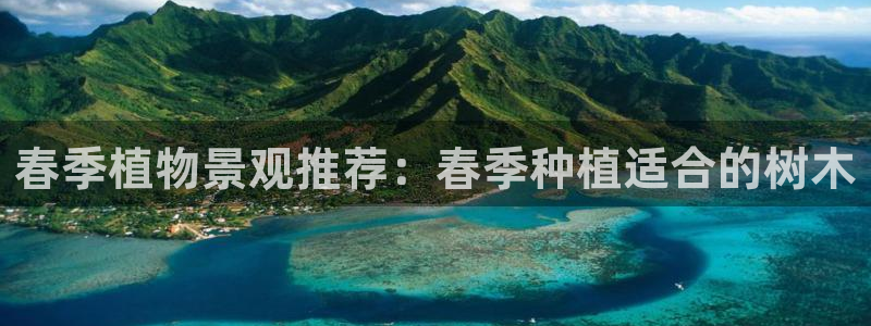 新宝一GG