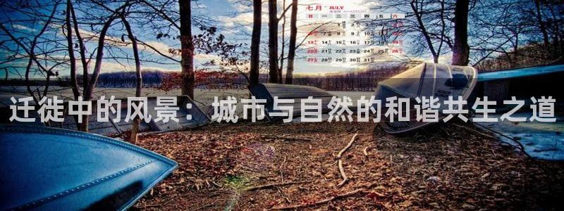 新宝gg主页
