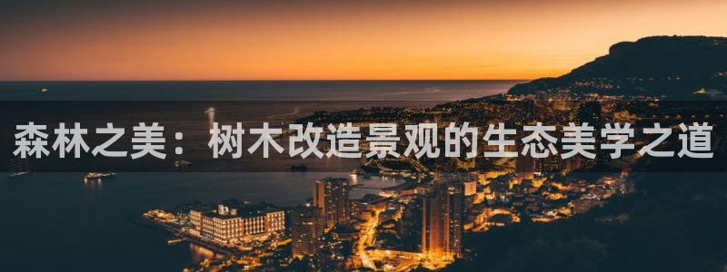 新宝哥gg