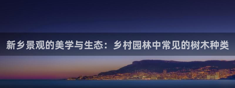 新宝GG主管41333