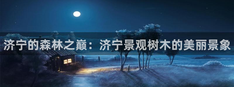 新宝gg刷流水