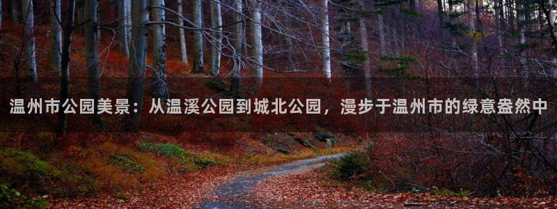 新宝gg注销