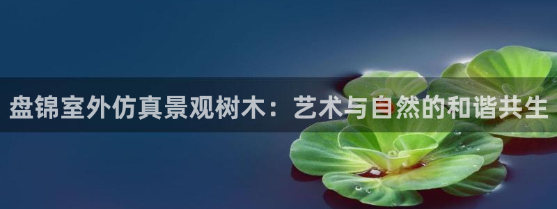 新宝gg如何代理