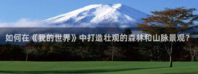 新宝gg什么