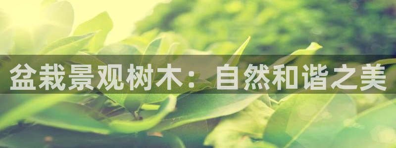 新宝gg体彩