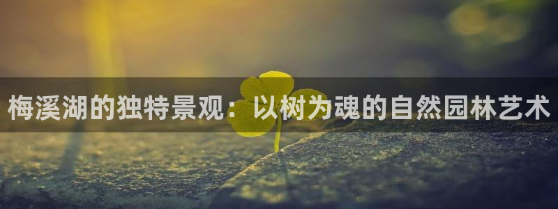 新宝gg测速：梅溪湖的独特景观：以树为魂的自然园林艺术