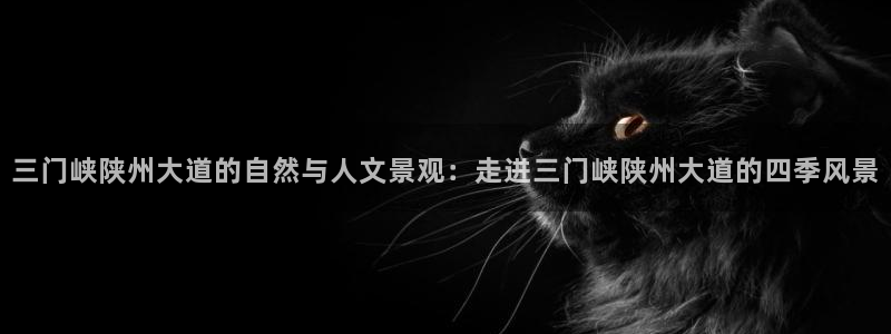 新宝gg总管
