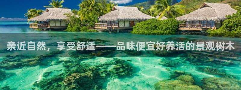 新宝GG桌面