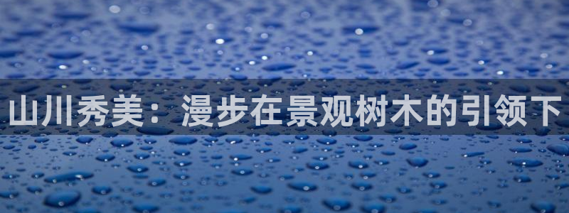 新宝gg娱乐官网