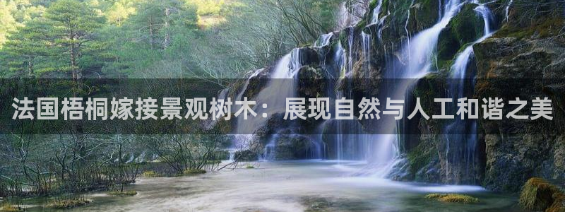 新宝gg开户流程