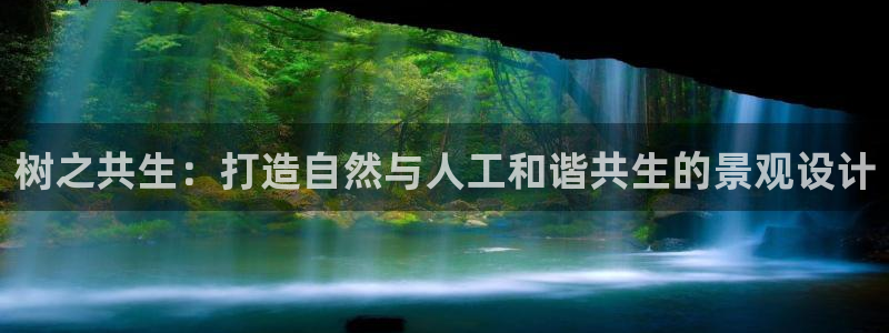 新宝gg 登录