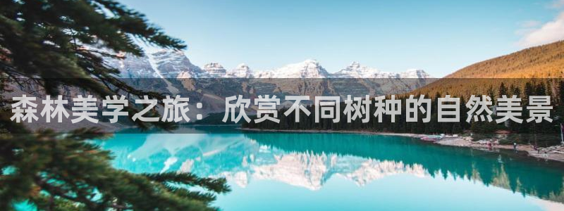 新宝GG寥78778