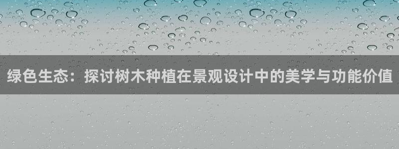 新宝gg手机