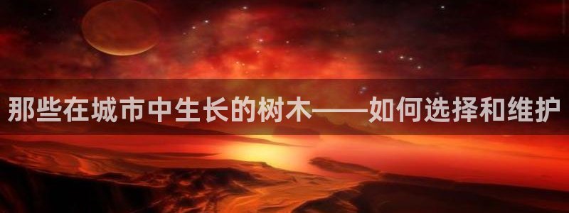 新宝gg论坛