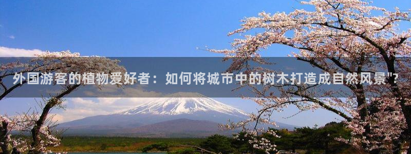 新宝gg集团