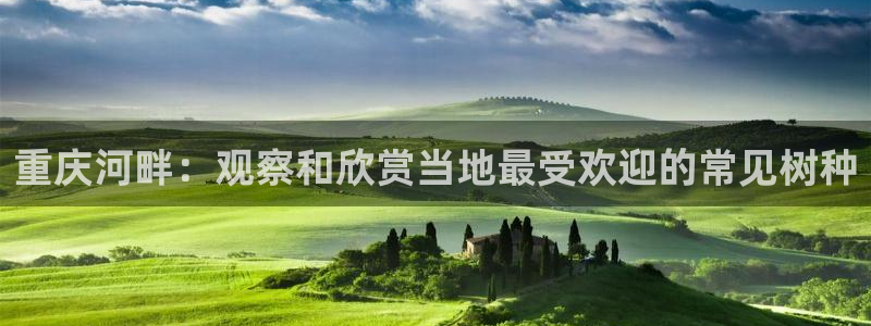 新宝gg欢迎