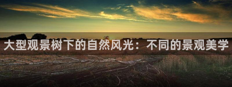 新宝gg主管、