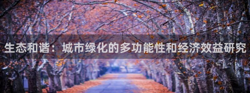 新宝gg公司